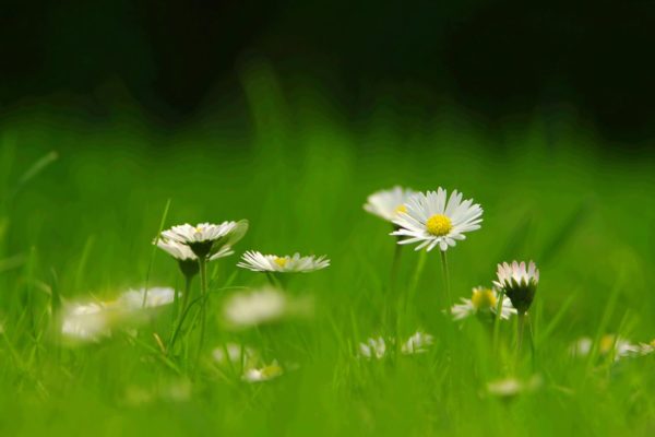 dreamstimemaximum_5488896